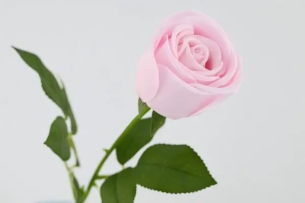 Are latex artificial roses durable?